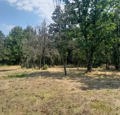 Снимка 4 — Парцел в Монтана, в.з. Запад