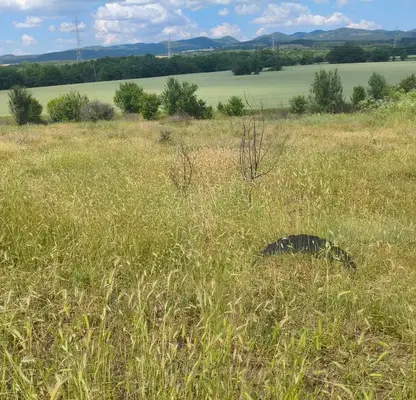 Photo 5 — Plot in Novi Iskyr