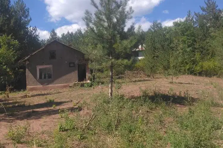 Plot in Novi Iskyr