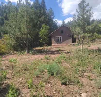 Photo 3 — Plot in Novi Iskyr