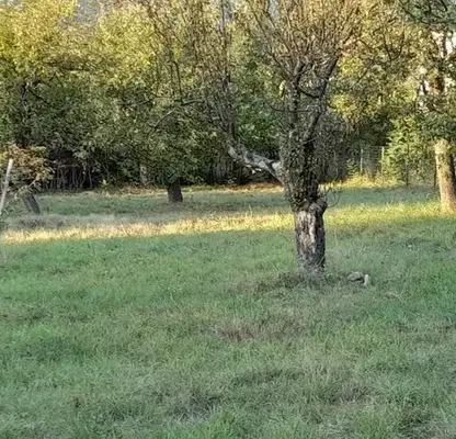 Photo 4 — Plot in Pernik, Bela Voda