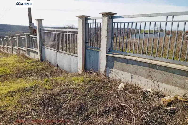 Plot in Pleven, Storgoziya