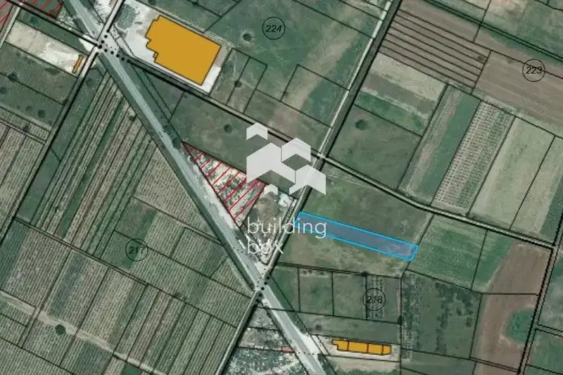 Plot in Plovdiv, Proslav