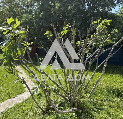 Photo 5 — Plot in Sofia, Pravec