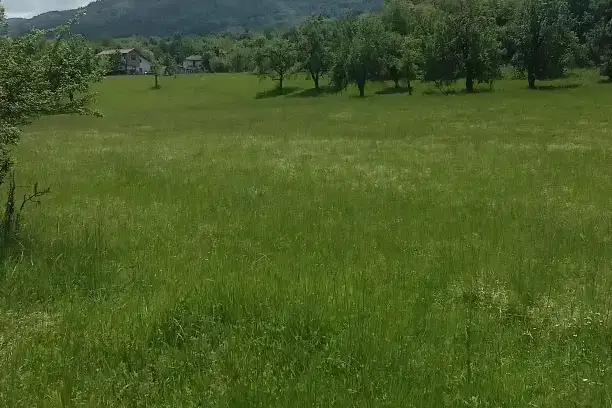Plot in Sofia, Pravec