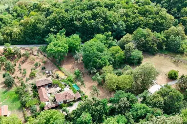 Plot in Sofia, Pravec
