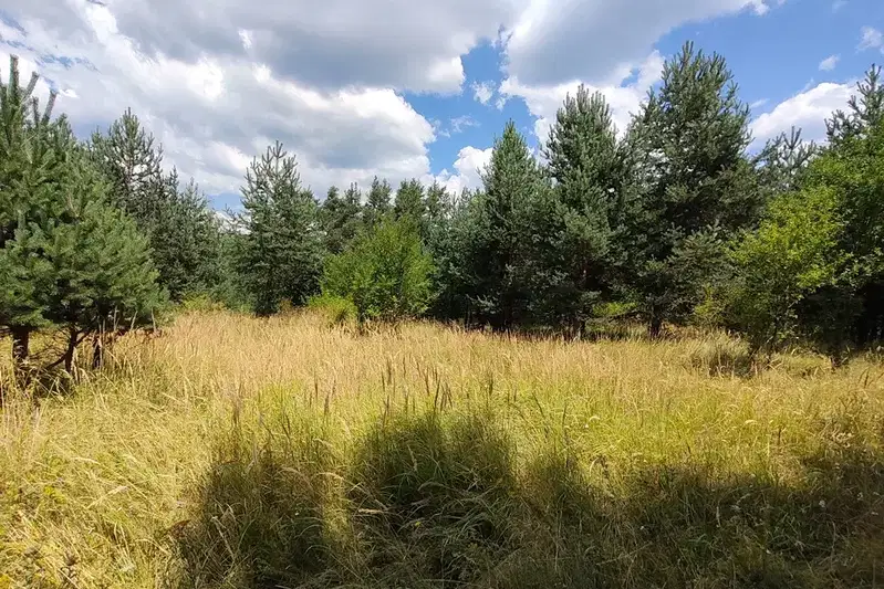 Парцел в Благоевград, Разлог