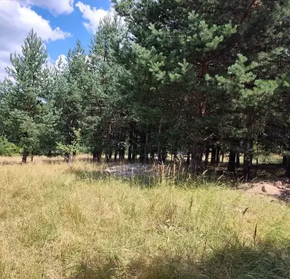 Снимка 4 — Парцел в Благоевград, Разлог
