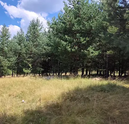 Снимка 5 — Парцел в Благоевград, Разлог