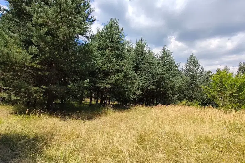 Парцел в Благоевград, Разлог