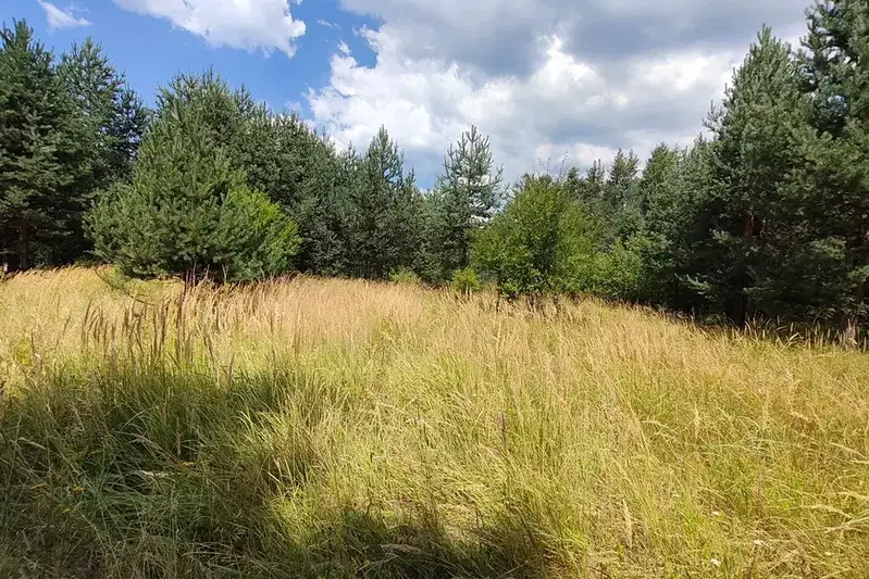 Парцел в Благоевград, Разлог