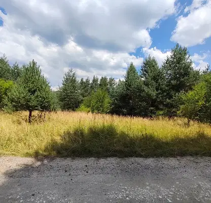 Снимка 2 — Парцел в Благоевград, Разлог