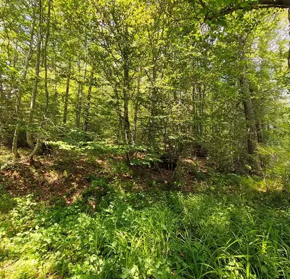 Photo 2 — Plot in Blagoevgrad, Razlog