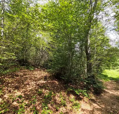 Photo 5 — Plot in Blagoevgrad, Razlog