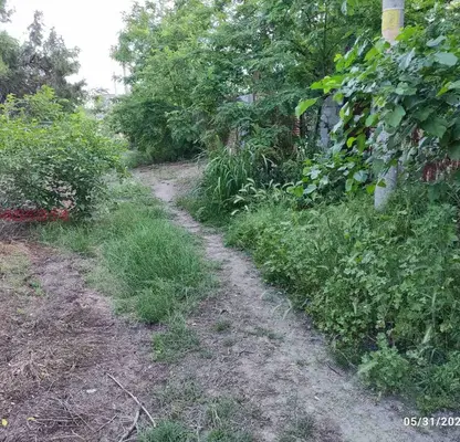 Снимка 5 — Парцел в Пазарджик, с. Алеко Константиново