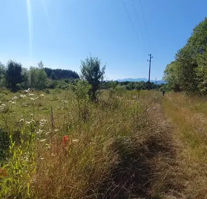Photo 3 — Plot in Sofia, Alino