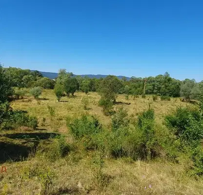 Photo 4 — Plot in Sofia, Alino