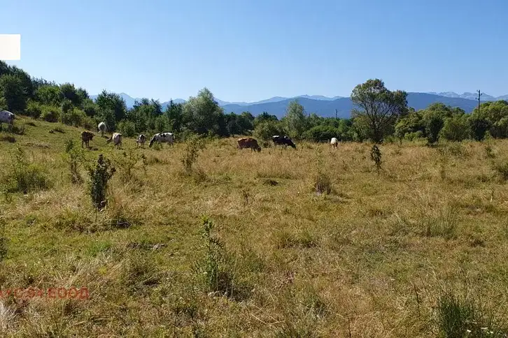Plot in Sofia, Alino