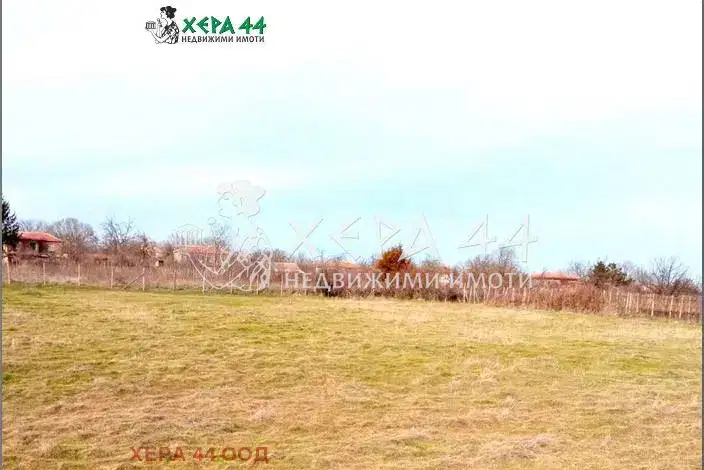 Plot in Oblast Varna, Avren