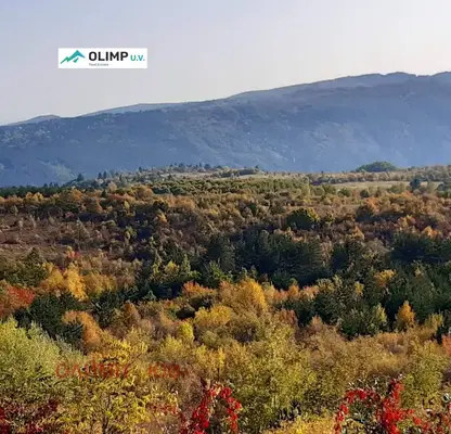 Photo 5 — Plot in Bistrica