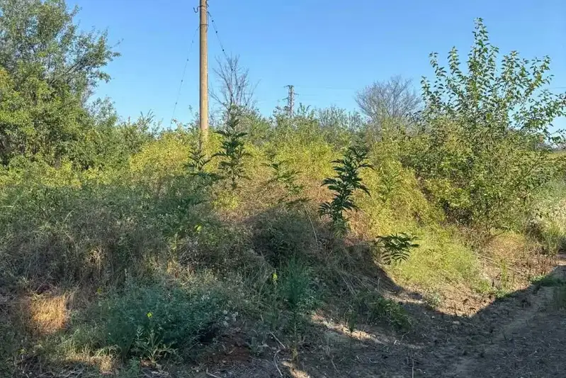 Plot in Oblast Pleven, с. Божурлук
