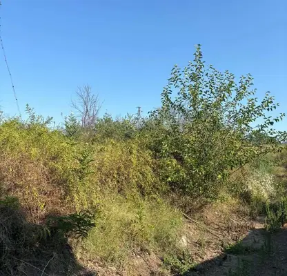 Photo 2 — Plot in Oblast Pleven, с. Божурлук