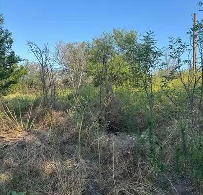 Photo 4 — Plot in Oblast Pleven, с. Божурлук