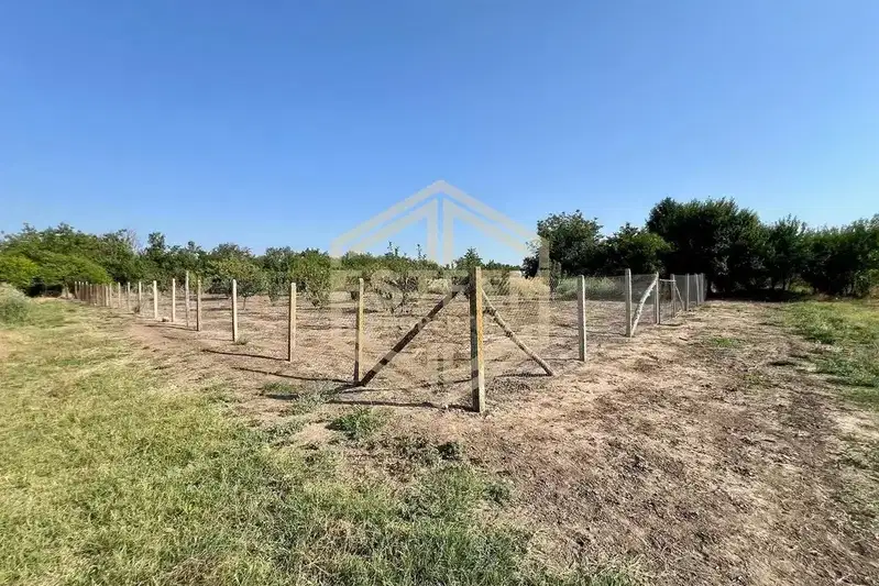 Plot in Ruse, Borisovo