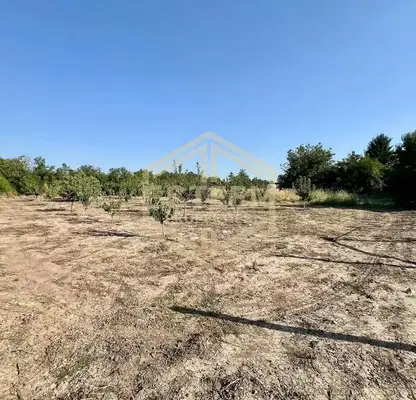 Photo 3 — Plot in Ruse, Borisovo