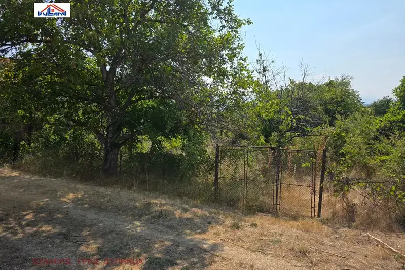 Plot in Kyustendil, Borovec