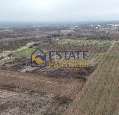 Photo 3 — Plot in Oblast Plovdiv, Branipole