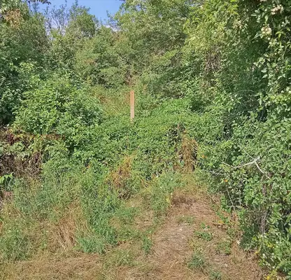 Photo 5 — Plot in Veliko Tyrnovo, Cerova Koriya