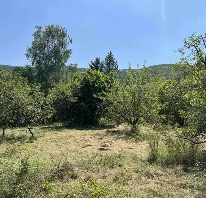 Photo 2 — Plot in област София, с. Черньово