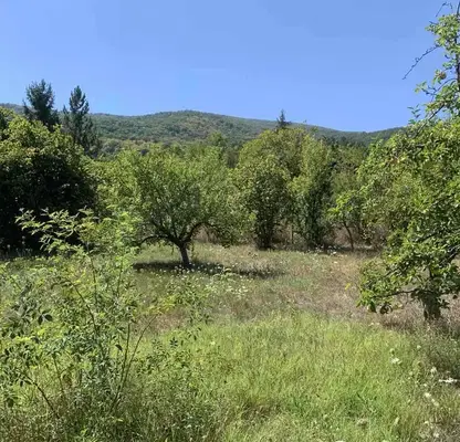 Photo 3 — Plot in област София, с. Черньово