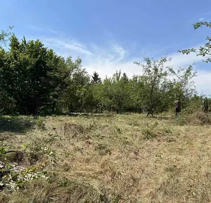 Photo 4 — Plot in област София, с. Черньово