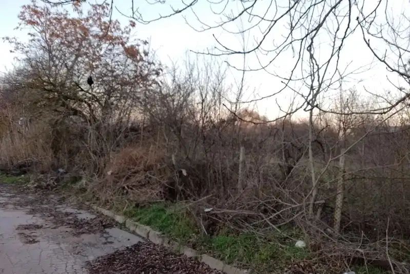 Plot in Oblast Varna, Chervenci