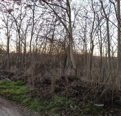 Photo 2 — Plot in Oblast Varna, Chervenci