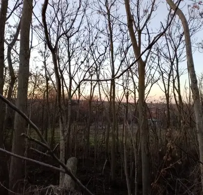 Photo 5 — Plot in Oblast Varna, Chervenci
