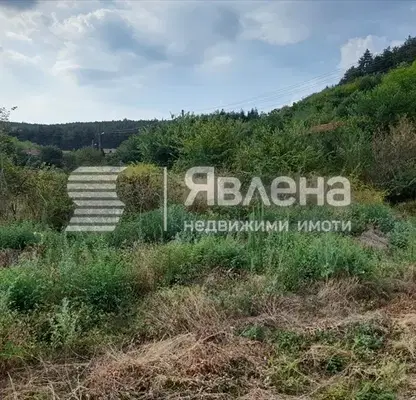 Снимка 4 — Парцел в Пазарджик, с. Дебръщица