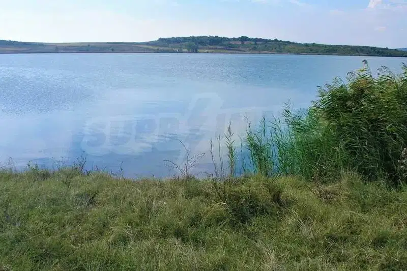 Plot in Dimchevo