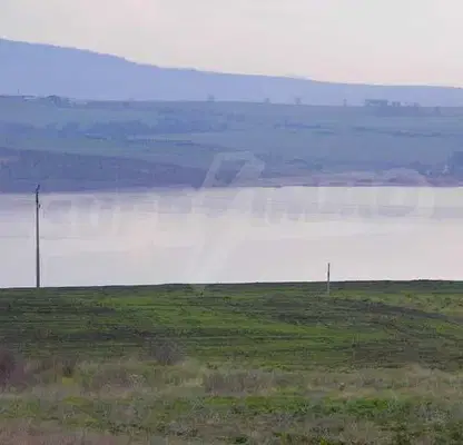 Photo 2 — Plot in Dimchevo