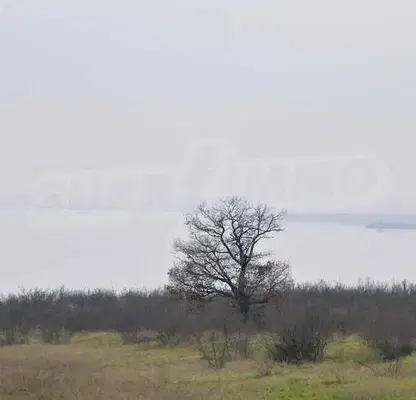 Photo 3 — Plot in Dimchevo