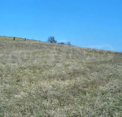 Photo 5 — Plot in Dimchevo