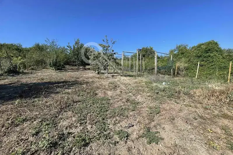 Plot in Oblast Veliko Tyrnovo, Djulyunica