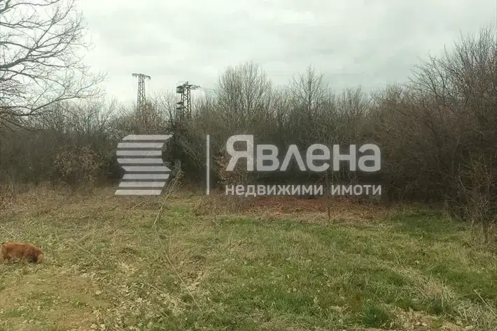 Plot in област София, Djurovo