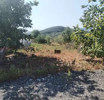 Снимка 2 — Парцел в Стара Загора, с. Елхово (Стара Загора)
