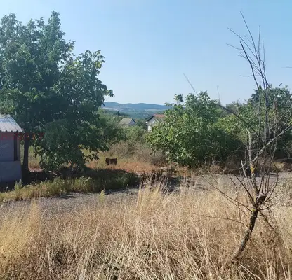 Снимка 4 — Парцел в Стара Загора, с. Елхово (Стара Загора)