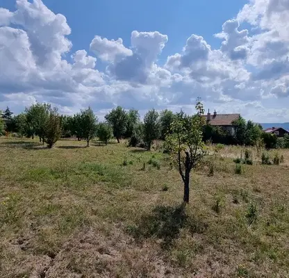 Снимка 4 — Парцел в Перник, с. Големо Бучино