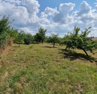 Снимка 5 — Парцел в Перник, с. Големо Бучино