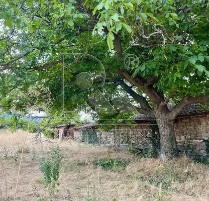 Photo 2 — Plot in Stara Zagora, s. Golyam dol